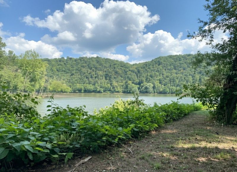 Hero for Home Services Options